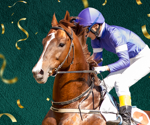Jockey on a thoroughbred racehorse 