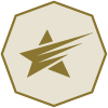 Winner’s Edge gold star icon in polygon